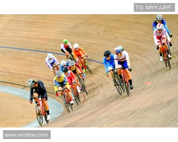 2023年体育赛事季度回顾精彩瞬间与未来展望